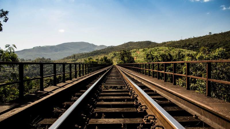 Erzincan'da bulunan dağ keçisi yavrusu koruma altına alındı
