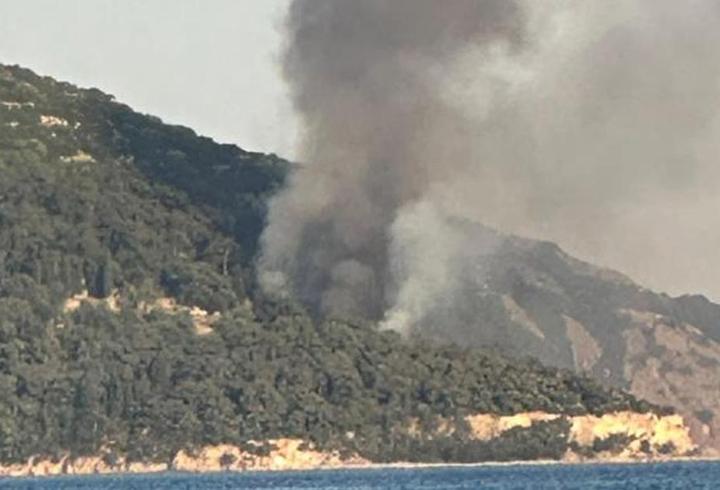 Son dakika haberi: Viranbağ Plajı’nda yangın! Ekipler sevk edildi