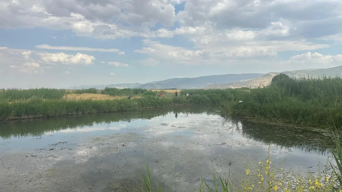 Muş'ta balık avlarken suya düşen 2 kuzen hayatını kaybetti