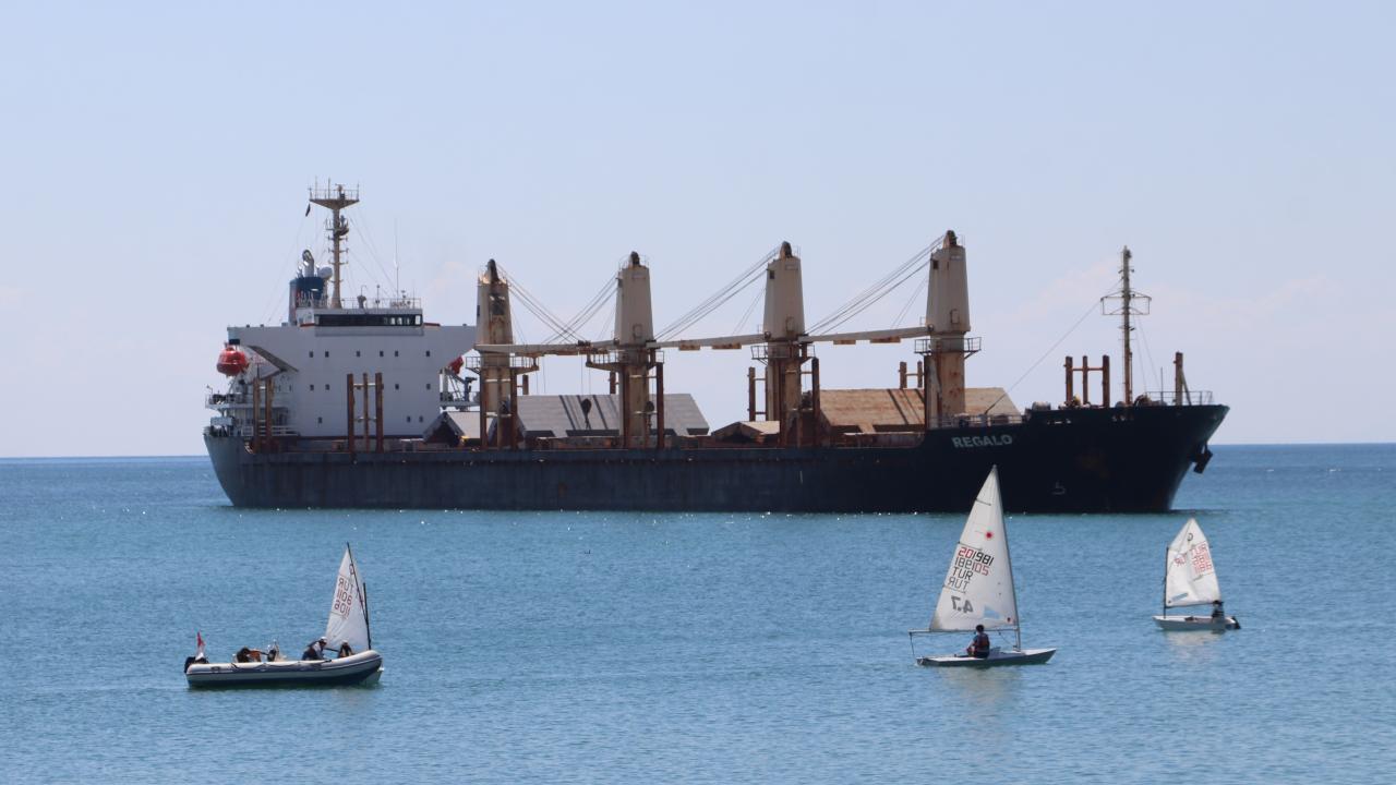 Tekirdağ'da karaya oturan yük gemisi çevresinde güvenlik önlemi alındı