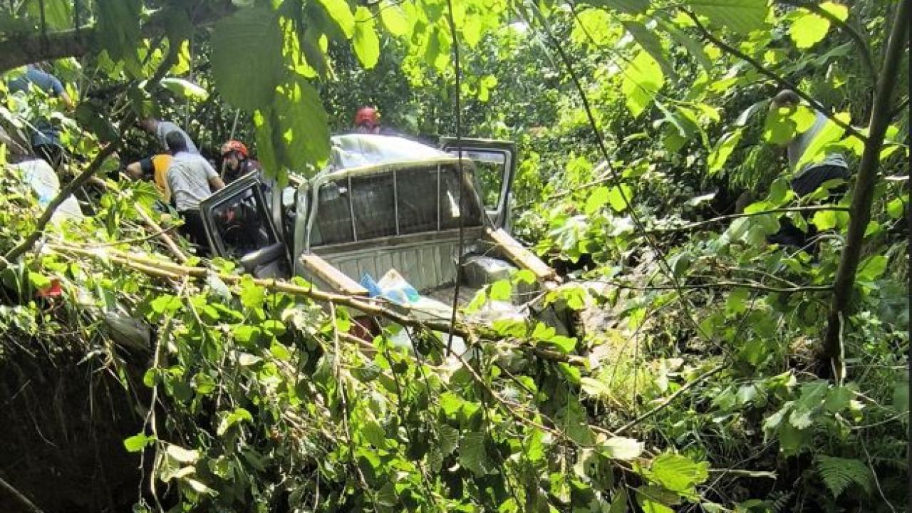 Trabzon'da kamyonet fındık bahçesine yuvarlandı: 1 ölü, 5 yaralı