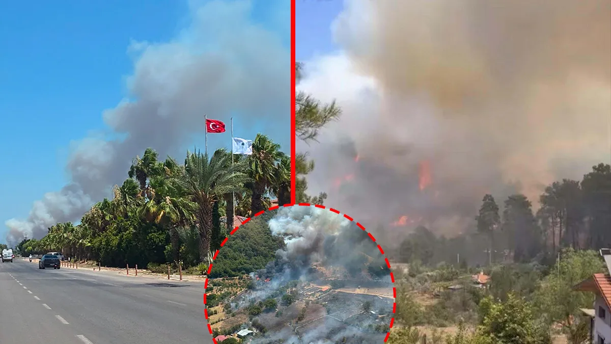 SON DAKİKA… 4 ilde korkutan orman yangını! Alevlere havadan ve karadan müdahale sürüyor