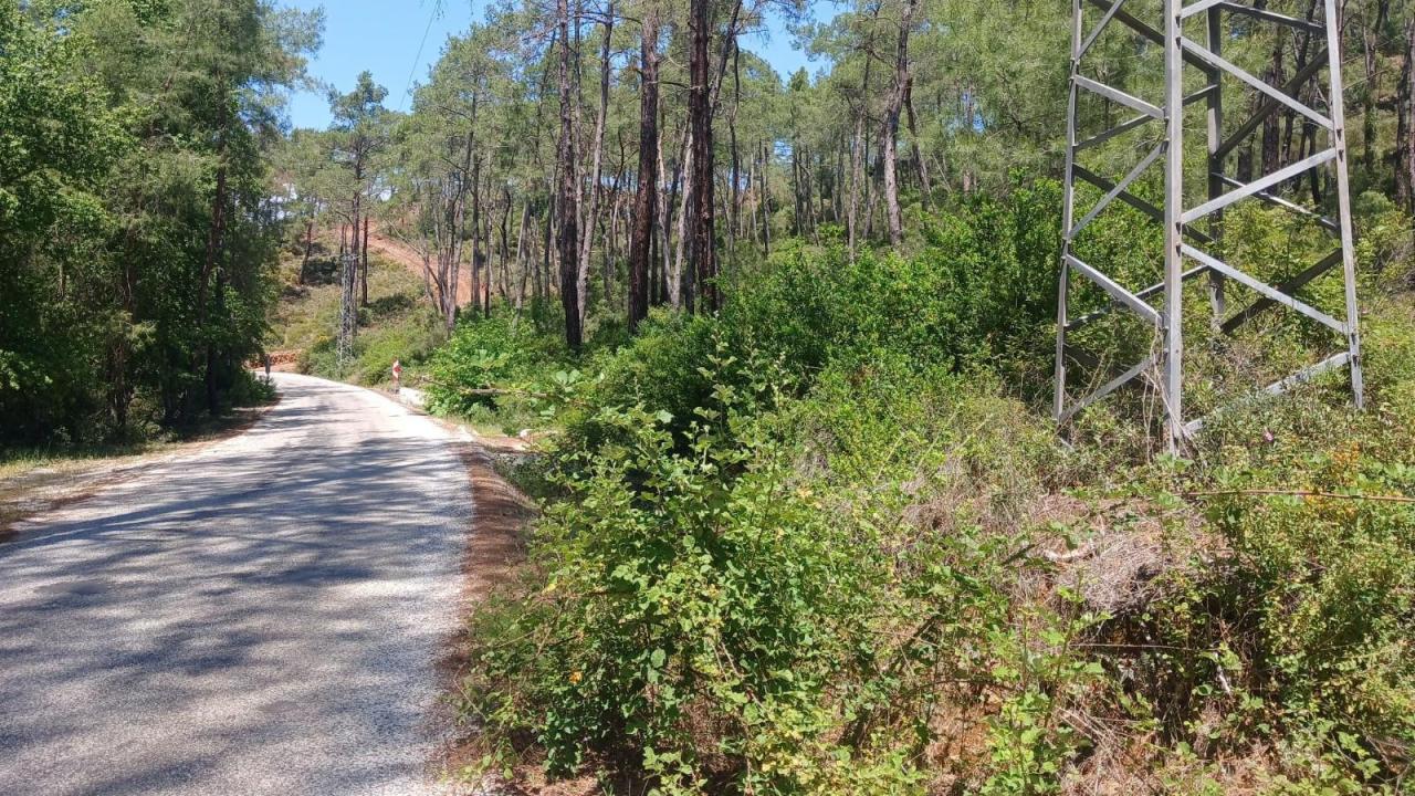 OGM'den yangın mesaisi: 16 bin 500 bin kilometre orman yolu temizlendi