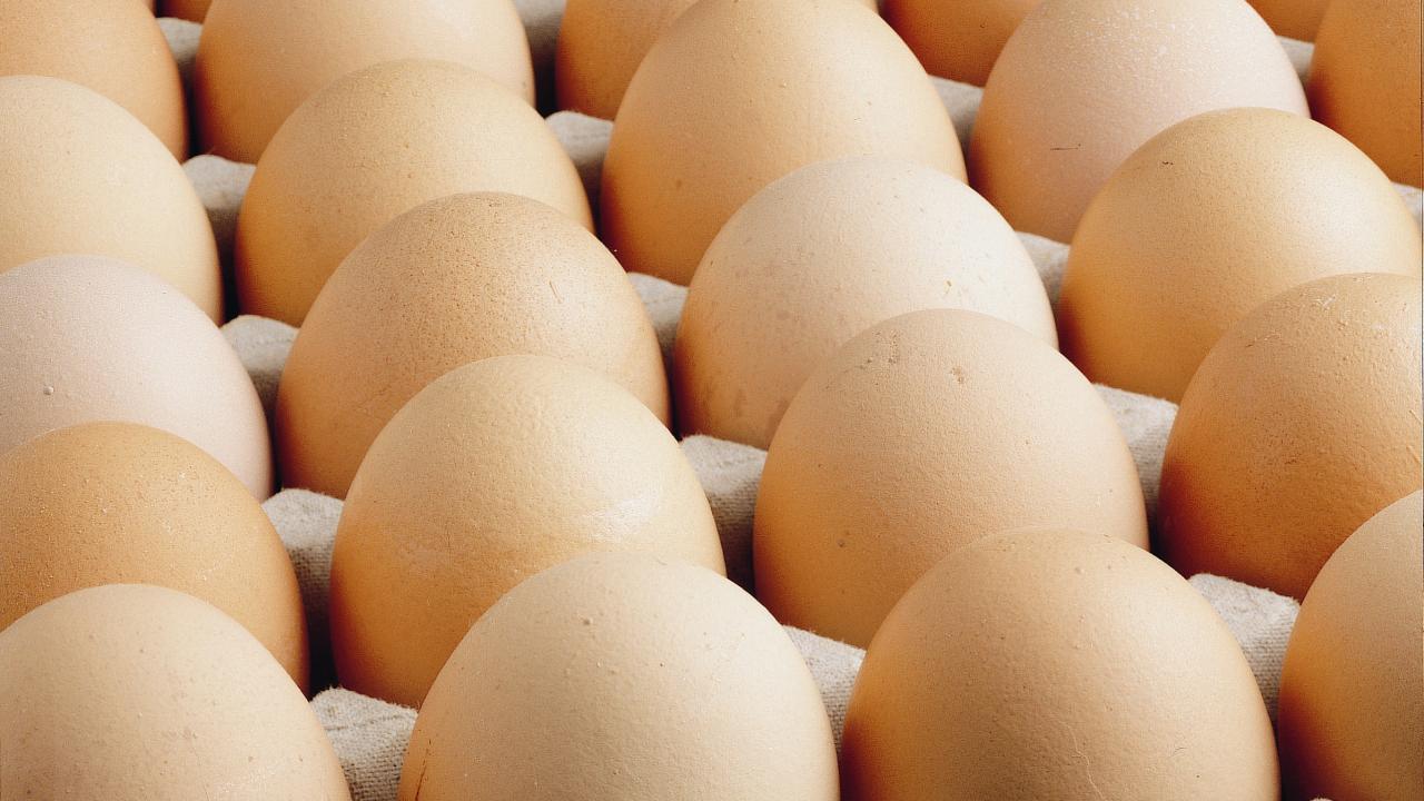 ABD'de milyonlarca yumurta salmonella şüphesiyle geri çağırıldı
