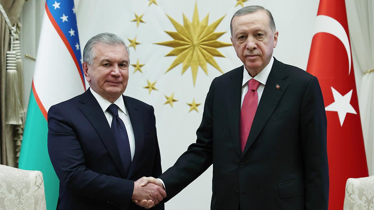 Cumhurbaşkanı Erdoğan, Özbekistan Cumhurbaşkanı Mirziyoyev ile görüştü