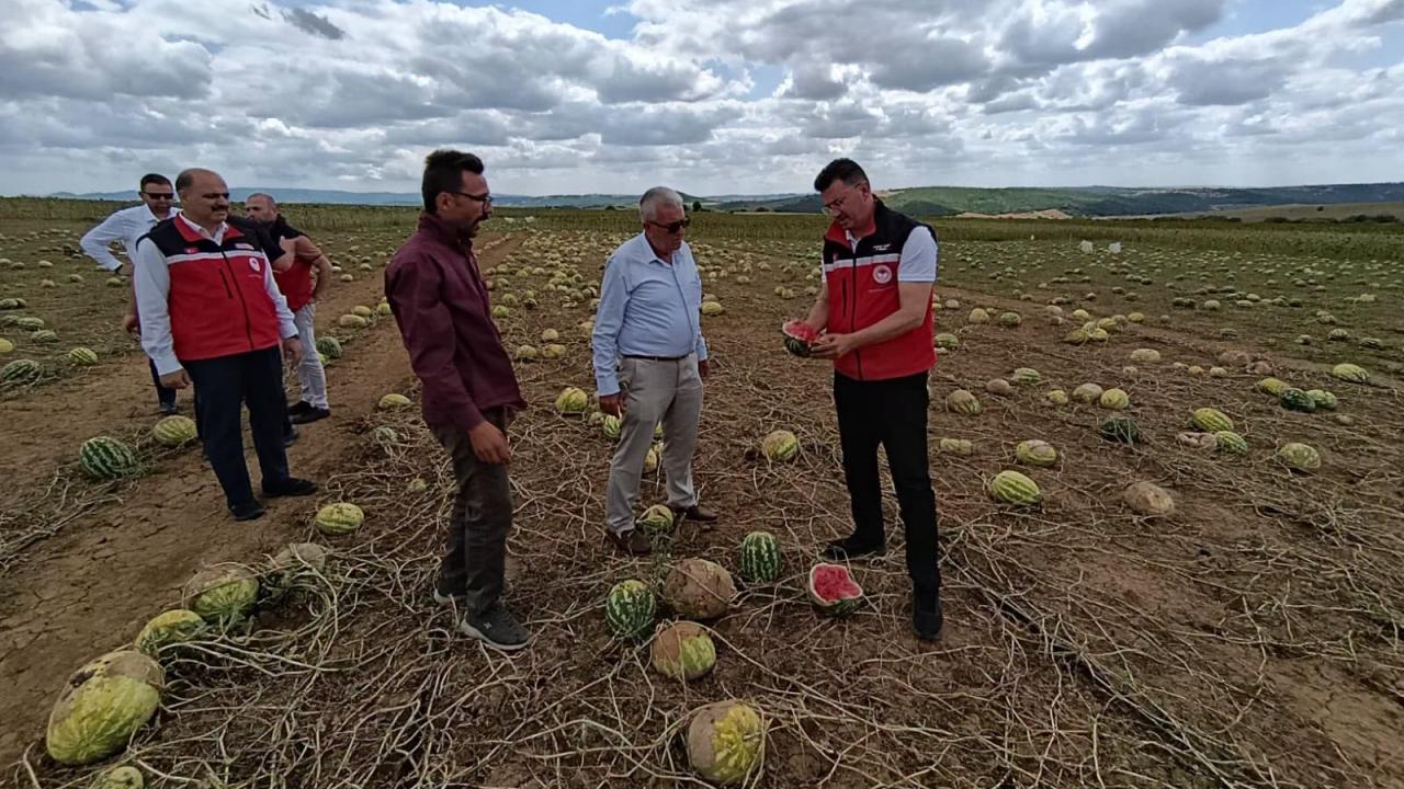 Tekirdağ'da tarım arazilerinde hasar tespit çalışmaları sürüyor