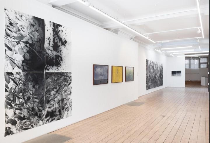 Gary Sangster’ın küratörlüğünde gerçekleşen “Botanicals” grup sergisi, VISION ART PLATFORM Londra’da!