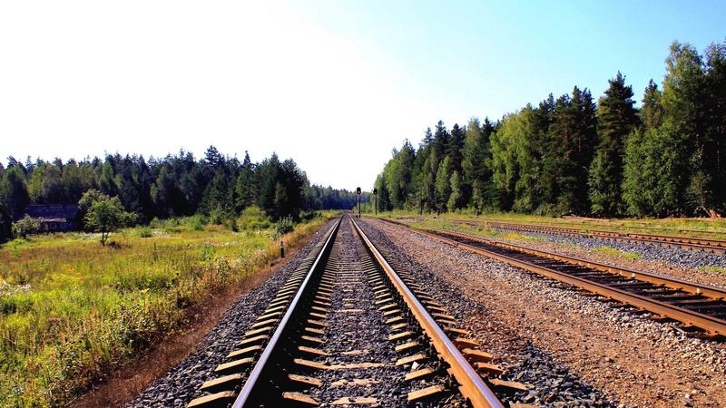 Artvin'de silahlı yaralama ve yağma olayına ilişkin 2 şüpheli tutuklandı
