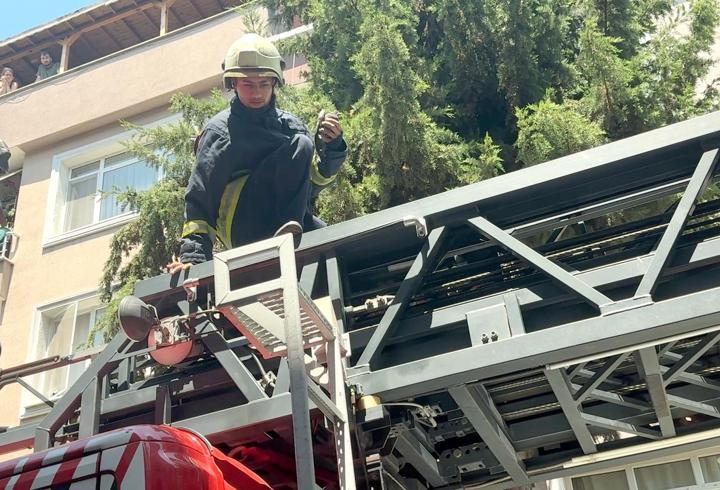 Avcılar'da balkonda mahsur kalan güvercini itfaiye kurtardı