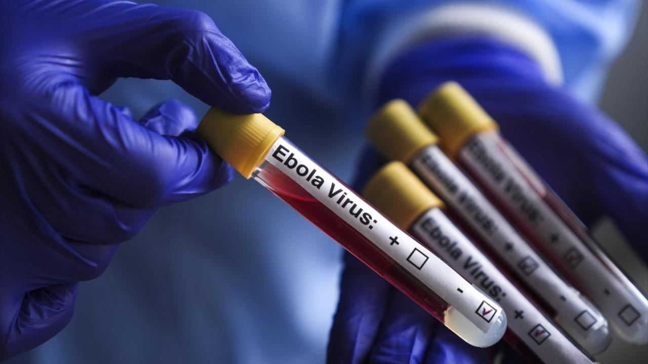 Kongo Demokratik Cumhuriyeti'ndeki Ebola salgınında can kaybı sayısı 1405'e yükseldi
