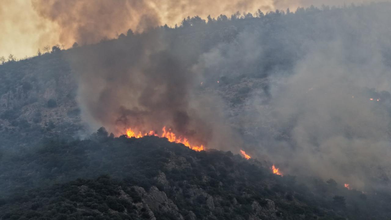 Kaş'ta orman yangınıyla mücadele ikinci gününde de sürüyor