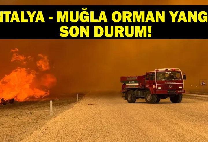FETHİYE ORMAN YANGINI SON DURUM: Antalya ve Muğla Orman Yangınında Son Durum Ne? Ölü Yaralı Var Mı? Yangın Nereye Kadar İlerledi?