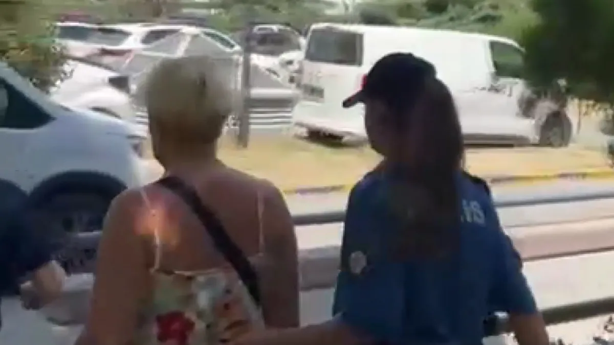 Bakırköy’deki 'kedi' kavgasında akılalmaz detaylar: O kadın yolu böyle kapatmıştı! Suç dosyası kabarık çıktı