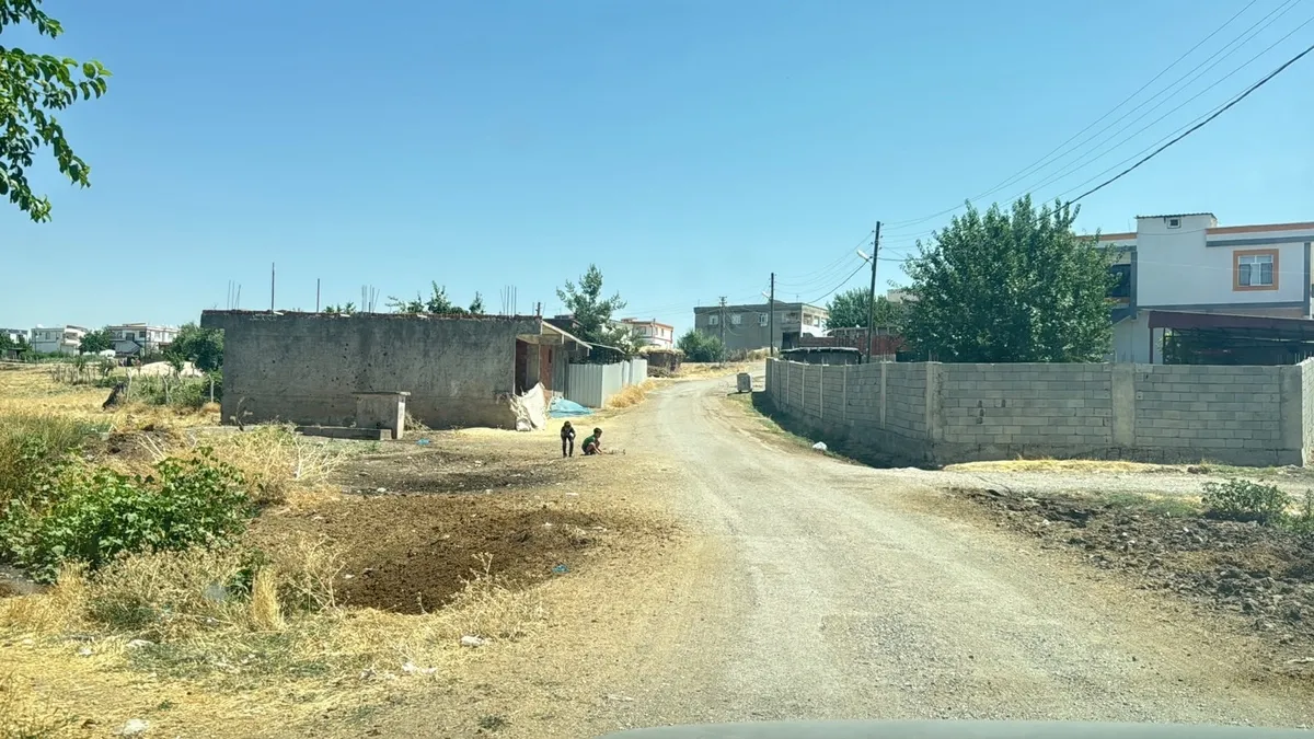 SON DAKİKA... Diyarbakır'da kuduz alarmı! Tüm mahalle karantinaya alındı: 4 ay önce kedi ısırmış!