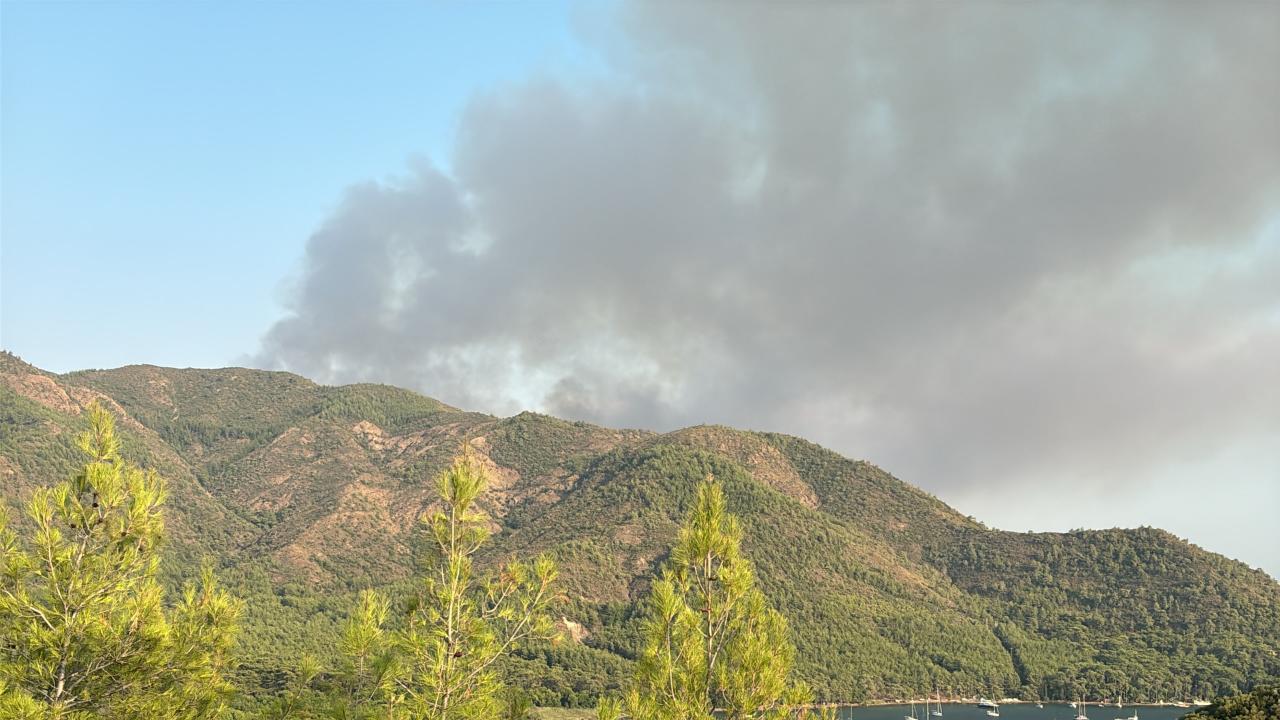 Marmaris'teki orman yangınında ikinci gün: Havadan ve karadan müdahale sürüyor