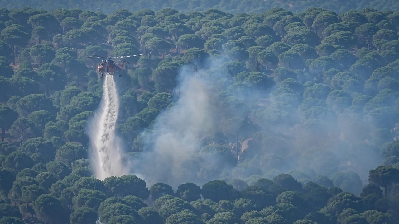 1 Haziran'dan bu yana 64 orman yangınıyla ilgili 11 şüpheli tutuklandı