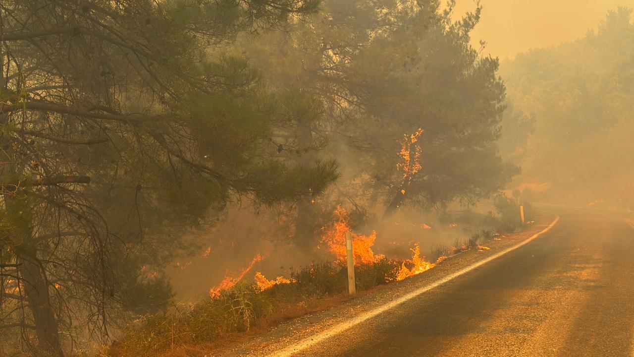 Orman yangınıyla ilgili 12 şüpheli tutuklandı