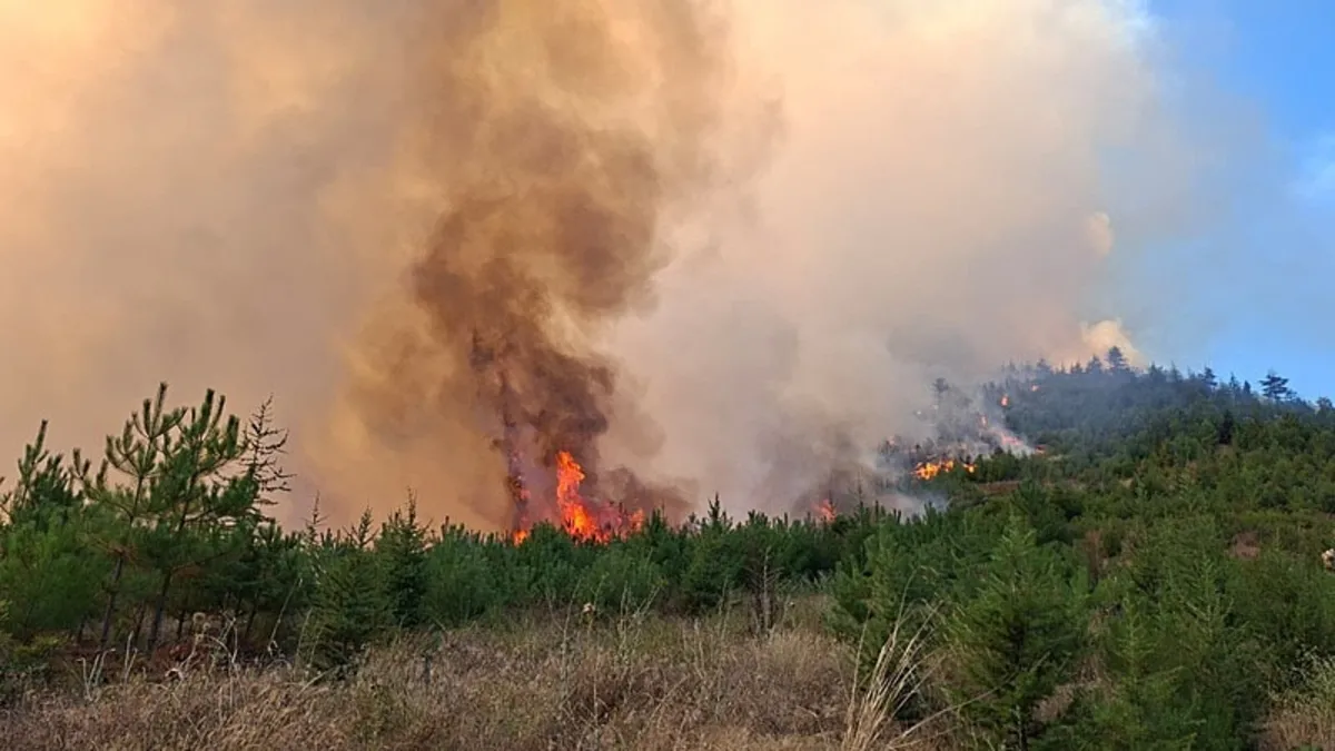 Adana’da 2 farklı bölgede orman yangını: Havadan ve karadan müdahale sürüyor