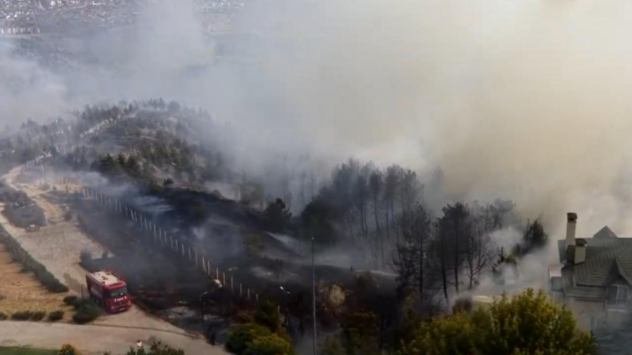 Ankara'nın Gölbaşı ilçesinde ormanlık alanda yangın
