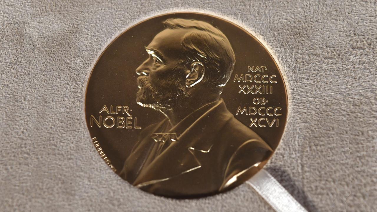 2026 Nobel Barış Ödülü, uluslararası hukuka yönelik çalışmalarından dolayı Navi Pillay'a verildi