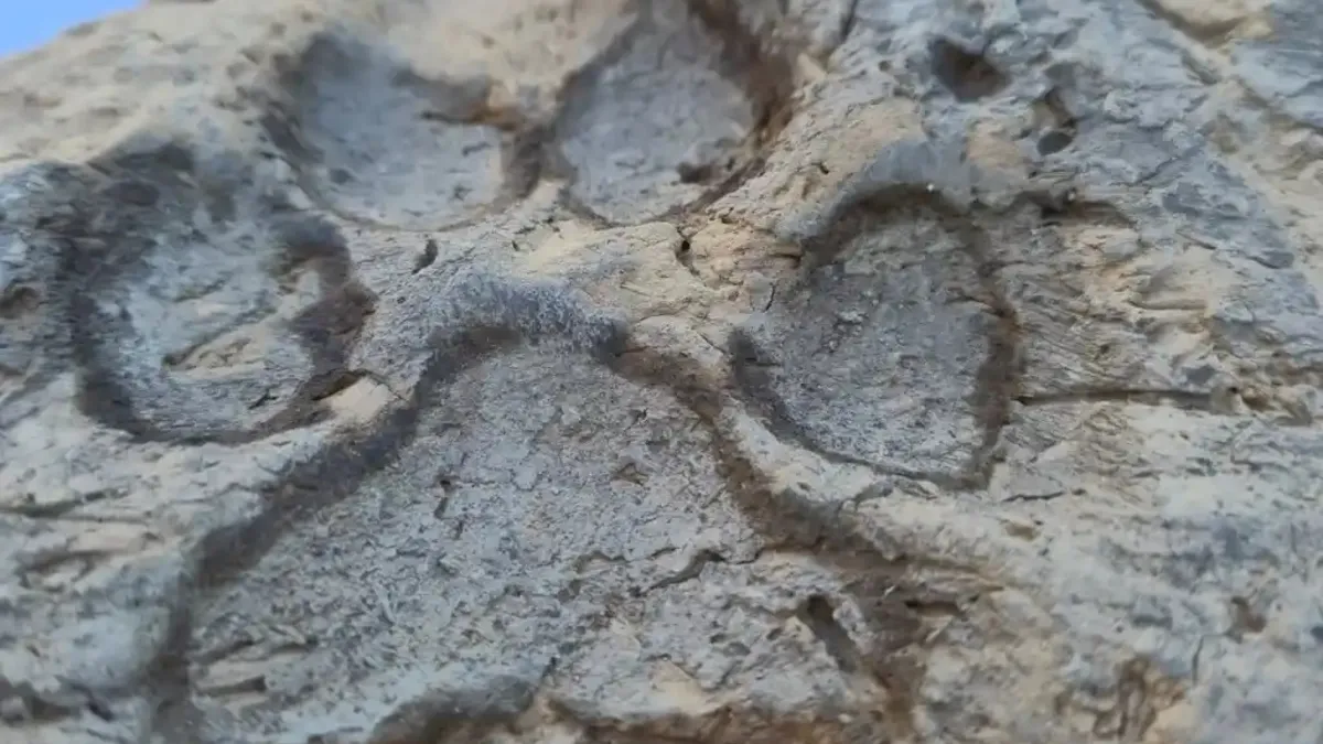 Tavşanlı Höyük'te 4 bin yıllık pati izi bulundu